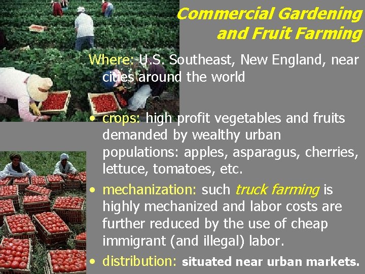 Commercial Gardening and Fruit Farming Where: U. S. Southeast, New England, near cities around