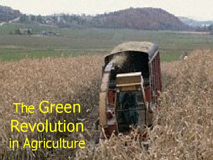 Green Revolution The in Agriculture 