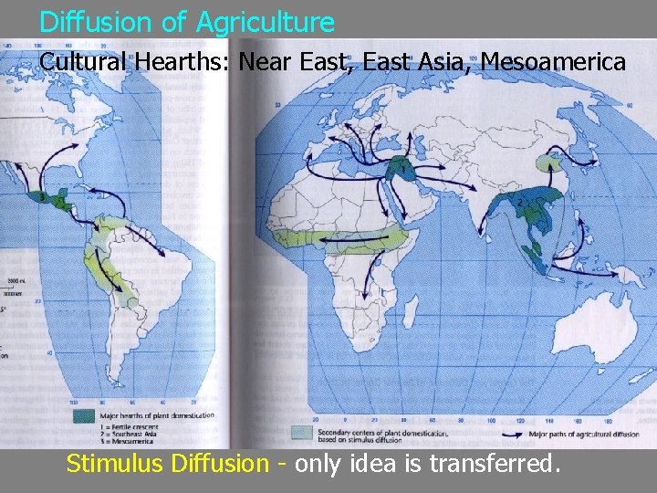 Diffusion of Agriculture Cultural Hearths: Near East, East Asia, Mesoamerica Stimulus Diffusion - only