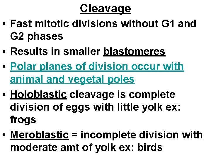 Cleavage • Fast mitotic divisions without G 1 and G 2 phases • Results