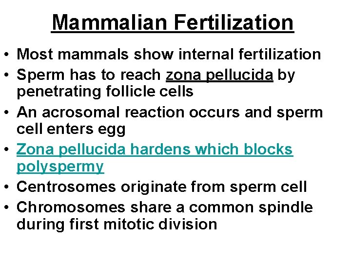 Mammalian Fertilization • Most mammals show internal fertilization • Sperm has to reach zona