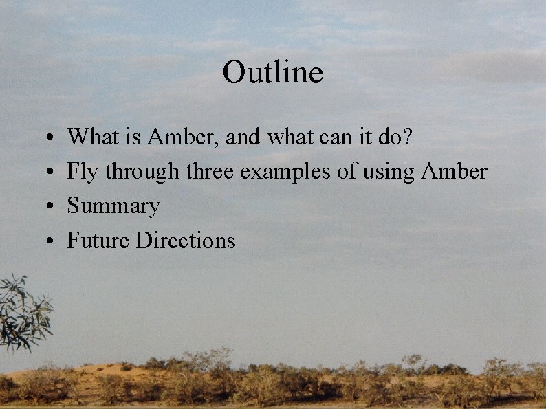 Outline • • What is Amber, and what can it do? Fly through three