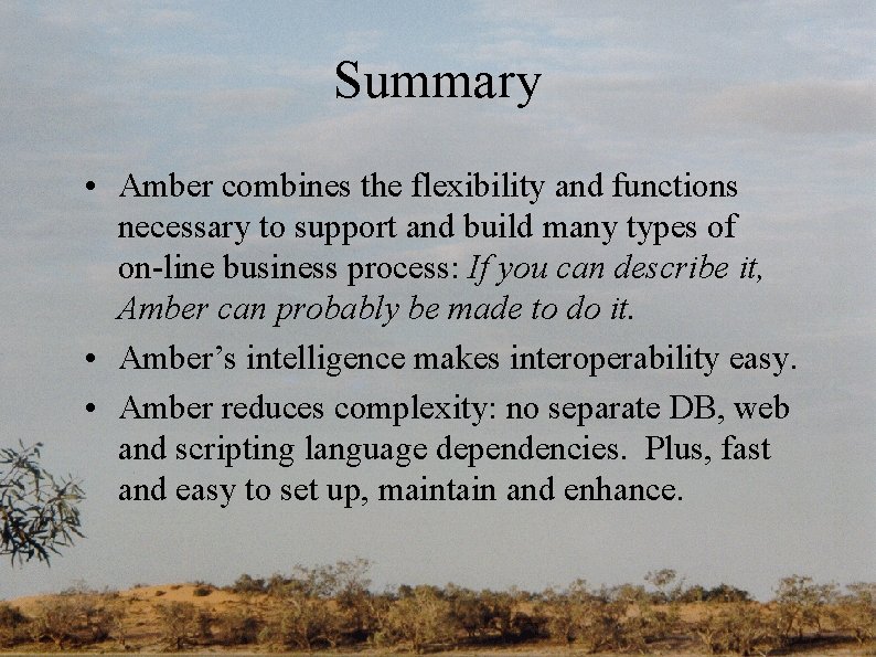 Summary • Amber combines the flexibility and functions necessary to support and build many