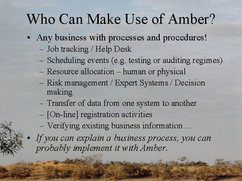 Who Can Make Use of Amber? • Any business with processes and procedures! –