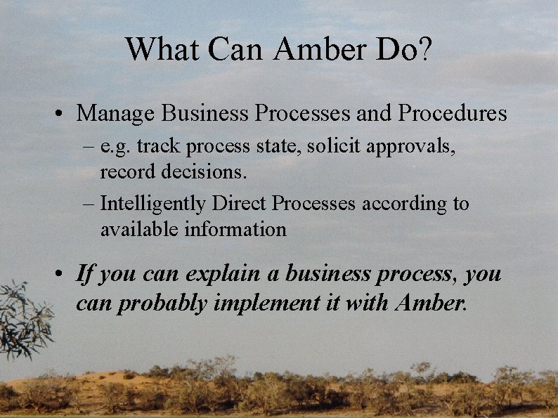 What Can Amber Do? • Manage Business Processes and Procedures – e. g. track