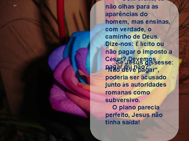 “Com efeito, tu ? ” não olhas para as aparências do homem, mas ensinas,