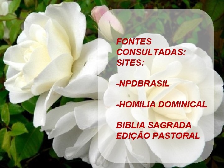 FONTES CONSULTADAS: SITES: -NPDBRASIL -HOMILIA DOMINICAL BIBLIA SAGRADA EDIÇÃO PASTORAL 