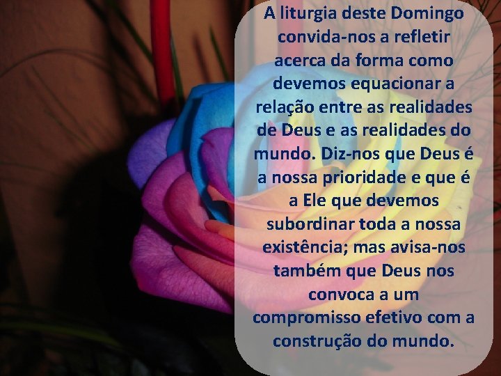 A liturgia deste Domingo convida-nos a refletir acerca da forma como devemos equacionar a