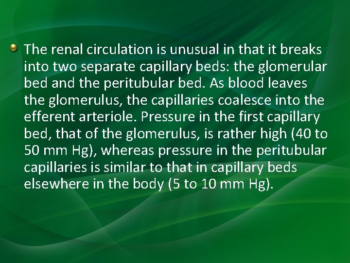 The renal circulation is unusual in that it breaks into two separate capillary beds: The renal circulation is unusual in that it breaks into two separate capillary beds: