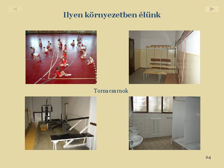 Ilyen környezetben élünk Tornacsarnok 24 Ilyen környezetben élünk Tornacsarnok 24