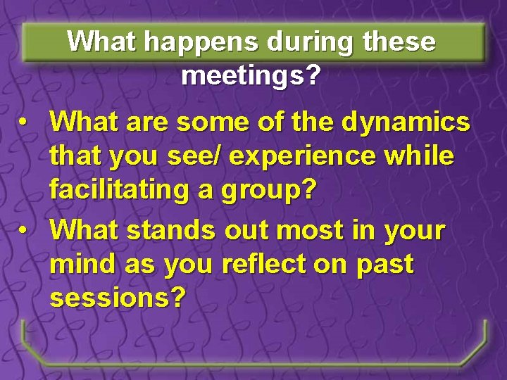 What happens during these meetings? • What are some of the dynamics that you