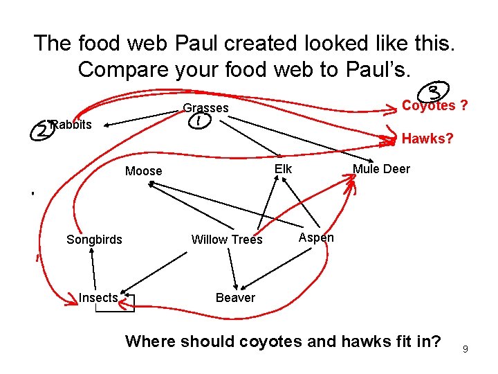 The food web Paul created looked like this. Compare your food web to Paul’s.