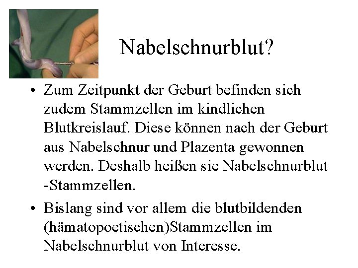 Nabelschnurblut? • Zum Zeitpunkt der Geburt befinden sich zudem Stammzellen im kindlichen Blutkreislauf. Diese