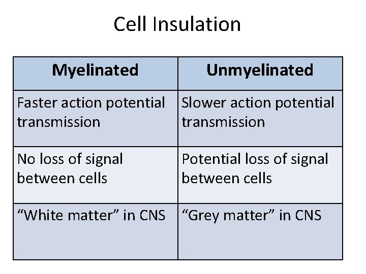 Cell Insulation Myelinated Unmyelinated Faster action potential Slower action potential transmission No loss of