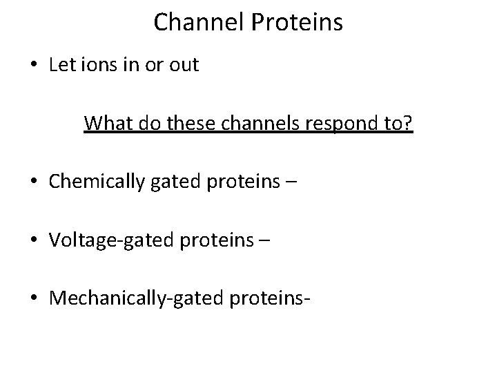 Channel Proteins • Let ions in or out What do these channels respond to?