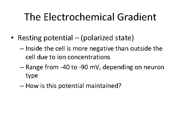 The Electrochemical Gradient • Resting potential – (polarized state) – Inside the cell is