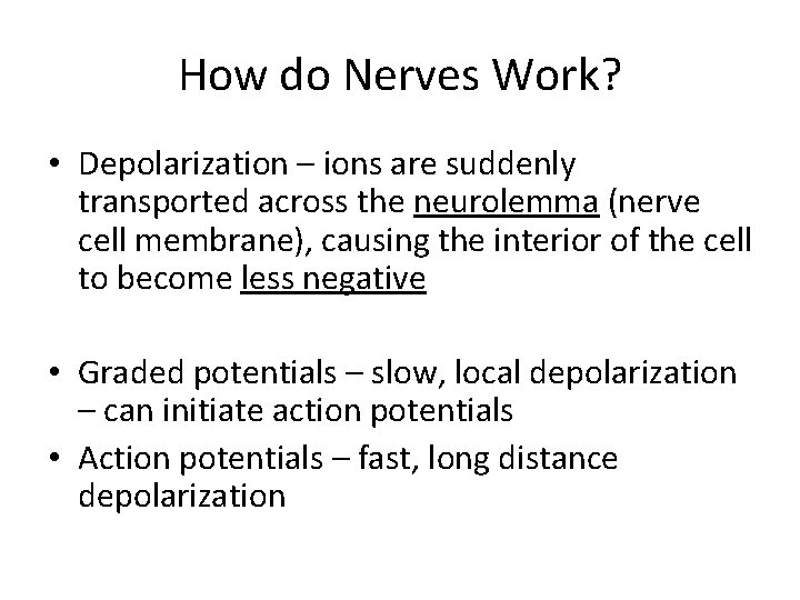 How do Nerves Work? • Depolarization – ions are suddenly transported across the neurolemma