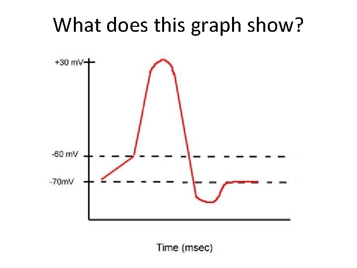 What does this graph show? 