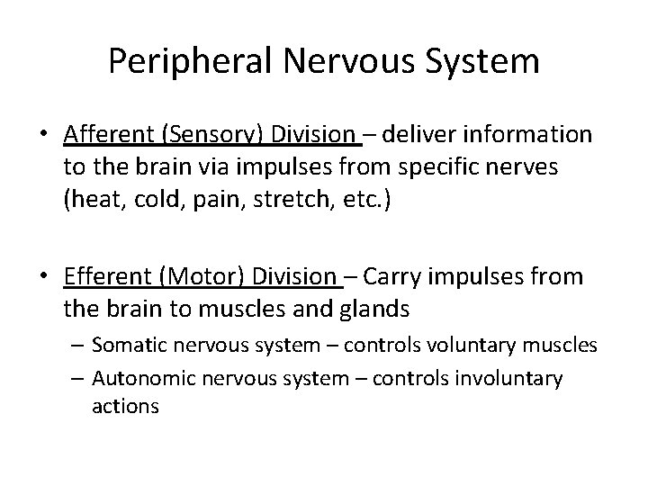 Peripheral Nervous System • Afferent (Sensory) Division – deliver information to the brain via