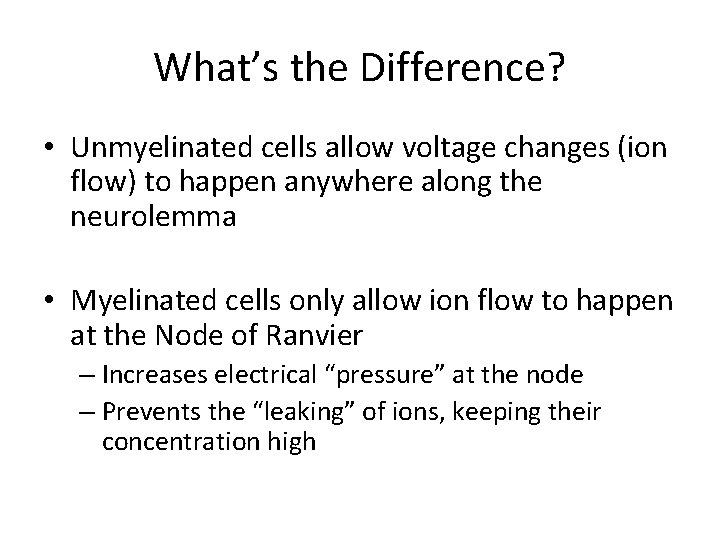 What’s the Difference? • Unmyelinated cells allow voltage changes (ion flow) to happen anywhere