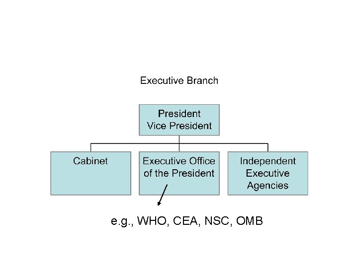 e. g. , WHO, CEA, NSC, OMB 