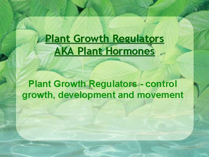 Plant Growth Regulators AKA Plant Hormones Plant Growth Regulators - control growth, development and