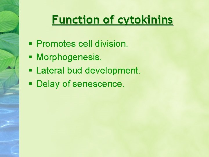 Function of cytokinins § § Promotes cell division. Morphogenesis. Lateral bud development. Delay of
