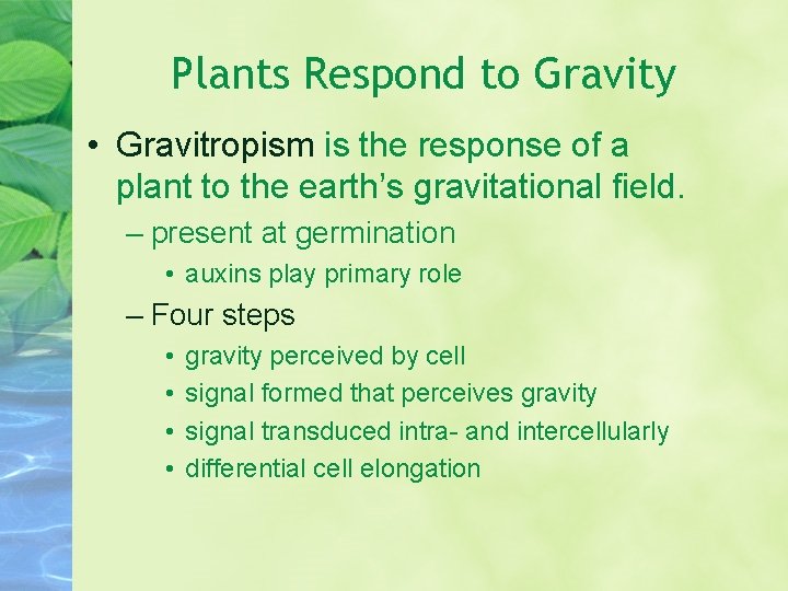 Plants Respond to Gravity • Gravitropism is the response of a plant to the