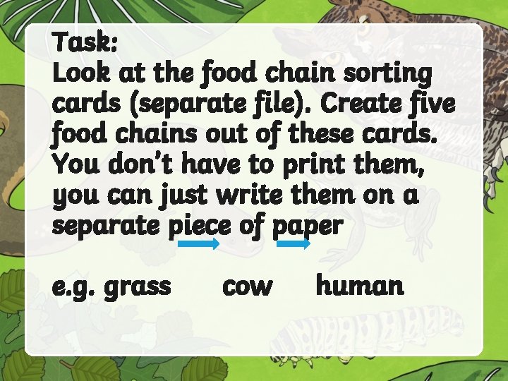 Task: Look at the food chain sorting cards (separate file). Create five food chains