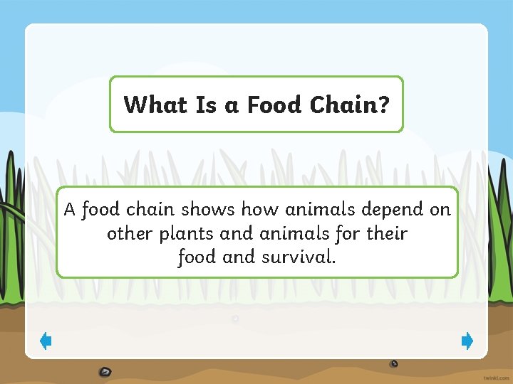 What Is a Food Chain? A food chain shows how animals depend on other