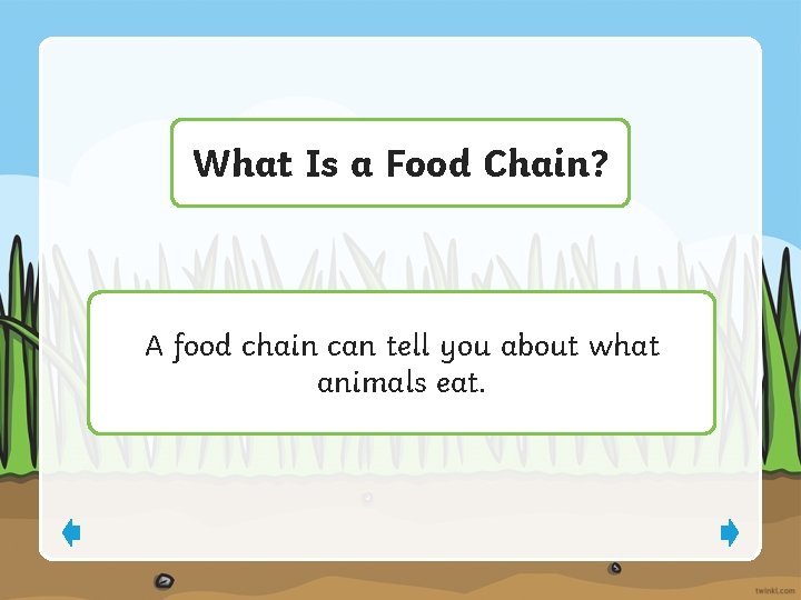 What Is a Food Chain? A food chain can tell you about what animals