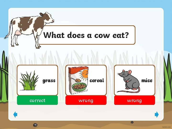 What does a cow eat? grass correct cereal wrong mice wrong 