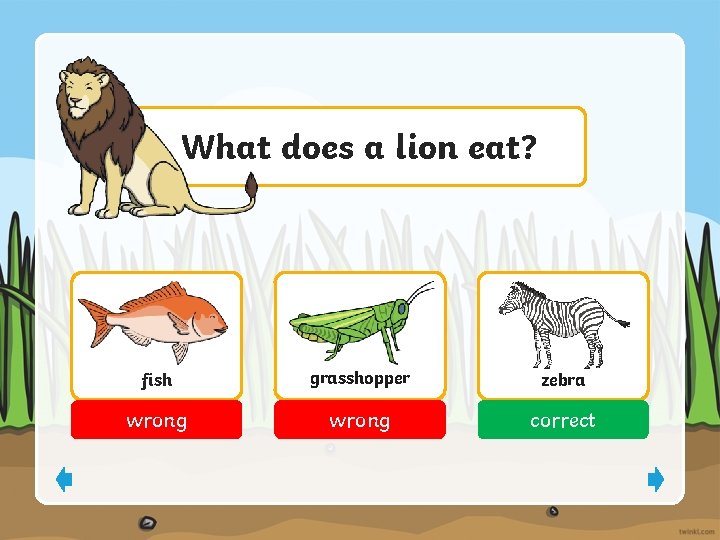 What does a lion eat? fish grasshopper zebra wrong correct 