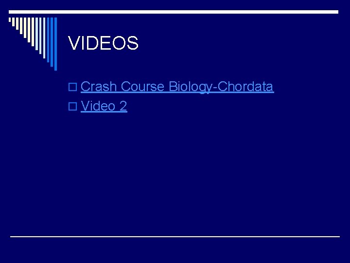 VIDEOS o Crash Course Biology-Chordata o Video 2 