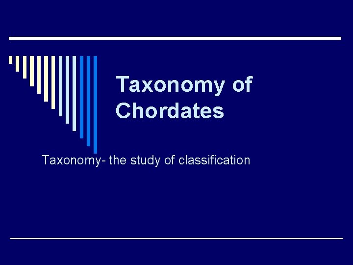 Taxonomy of Chordates Taxonomy- the study of classification 