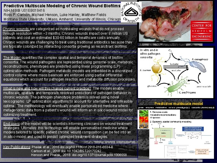 Predictive Multiscale Modeling of Chronic Wound Biofilms NIH NIBIB U 01 EB 019416 Ross