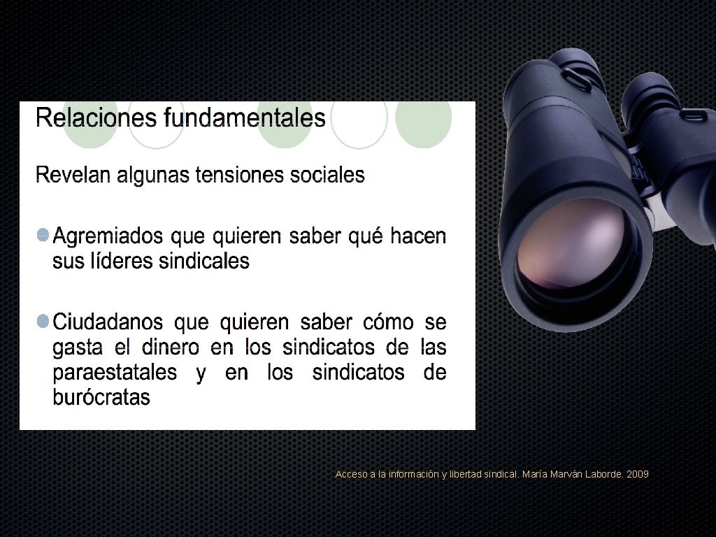 Acceso a la información y libertad sindical. María Marván Laborde. 2009 