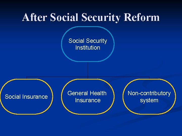 After Social Security Reform Social Security Institution Social Insurance General Health Insurance Non-contributory system