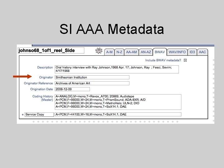 SI AAA Metadata 