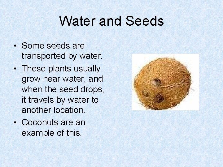 Water and Seeds • Some seeds are transported by water. • These plants usually Water and Seeds • Some seeds are transported by water. • These plants usually