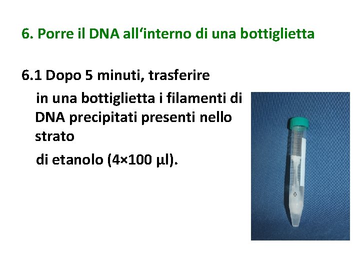 6. Porre il DNA all‘interno di una bottiglietta 6. 1 Dopo 5 minuti, trasferire