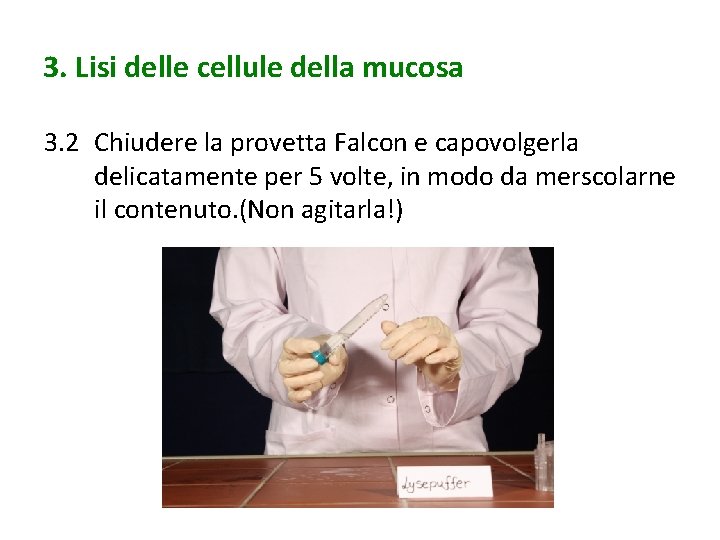 3. Lisi delle cellule della mucosa 3. 2 Chiudere la provetta Falcon e capovolgerla