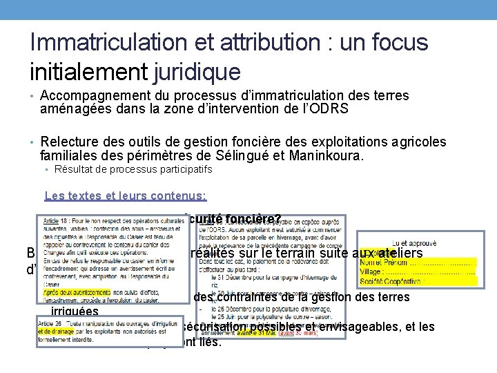 Immatriculation et attribution : un focus initialement juridique • Accompagnement du processus d’immatriculation des