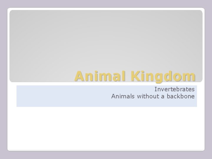 Animal Kingdom Invertebrates Animals without a backbone 