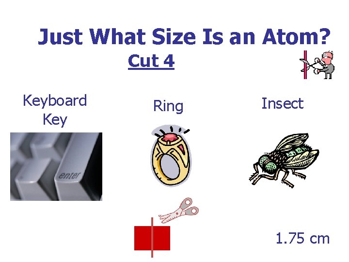 Just What Size Is an Atom? Cut 4 Keyboard Key Ring Insect 1. 75