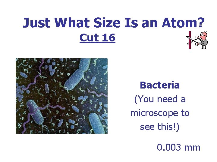 Just What Size Is an Atom? Cut 16 Bacteria (You need a microscope to