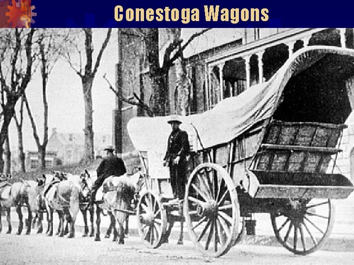 Conestoga Wagons 