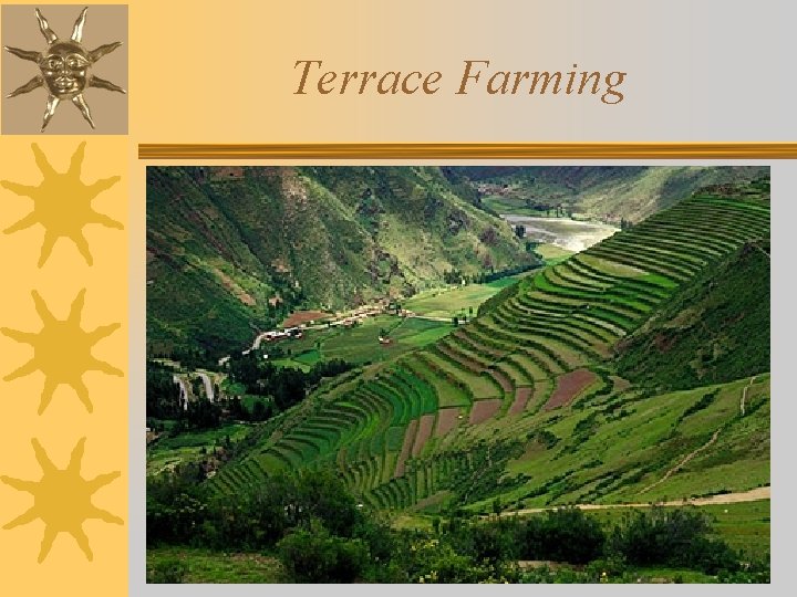 Terrace Farming 