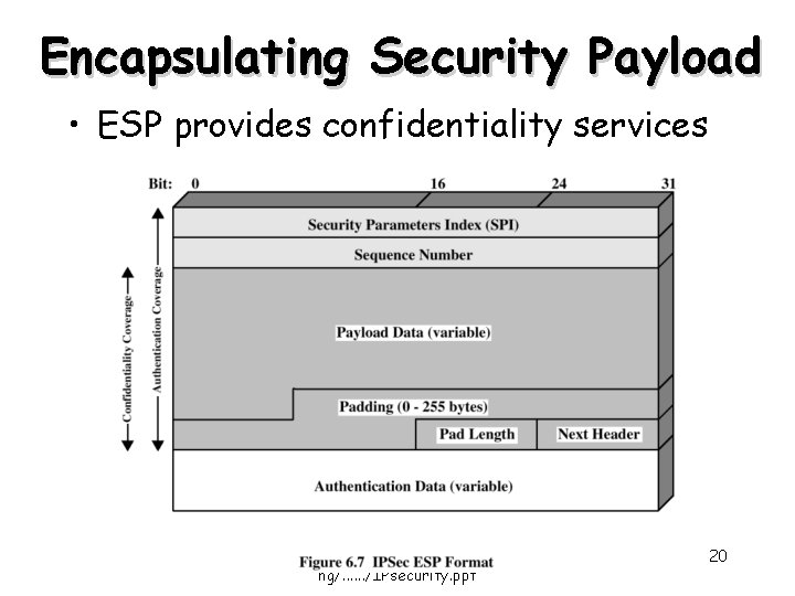 Encapsulating Security Payload • ESP provides confidentiality services http: //sce. uhcl. edu/yang/teachi ng/. .