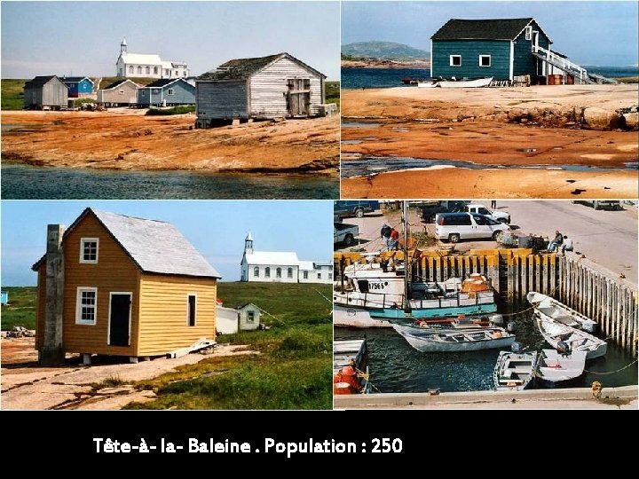 Tête-à- la- Baleine. Population : 250 